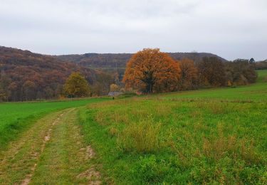 Trail Walking Profondeville - Du village de Arbre au hameau de Besinne - Photo