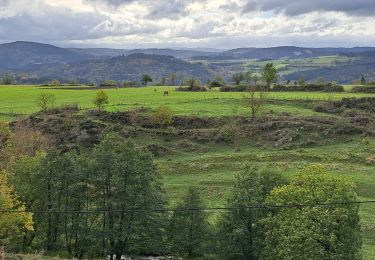 Tour Wandern Saint-Haon - le nouveau Monde - Photo