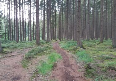 Tour Wandern Raeren - petergensfeld - rando propose par l office du tourisme ost belgien  - Photo