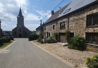 Tocht Stappen Viroinval - rando le mesnil 3/06/2021 - Photo