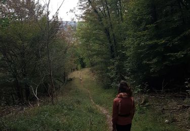 Trail Walking Gennes - Source d'Arcier - Photo