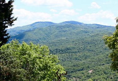 Tocht Te voet Figline e Incisa Valdarno - IT-00 - Photo