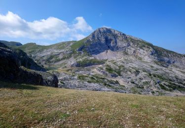 Trail Walking Villard-de-Lans - benne_les 2 Soeurs, benne - Photo