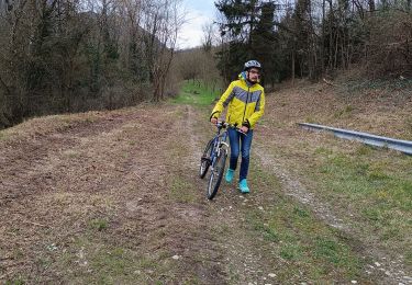 Tocht Mountainbike Vinay - Vinay-Serre de TrellinsPlaine-Pont de Treillins - Photo