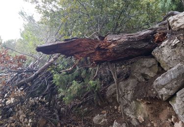 Tocht Stappen Carros - randonnée retour chemin gauche après  grotte retour  - Photo