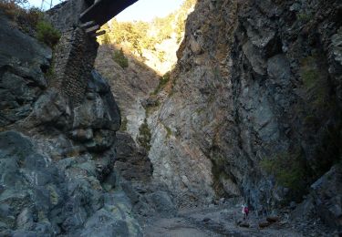 Trail On foot El Paso - Wikiloc - Caldera de taburiente Los Brecitos to Parking Barranco de las Angustias - Photo