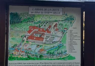 Tour Wandern Andelot-Blancheville - Andelot, vallée du Rognon - Photo