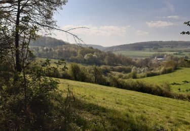 Tocht Stappen Limburg - covi 19  - Photo