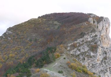 Tour Wandern Saou - Grand et Petit Pomerolle - Forêt de Saoû - Photo