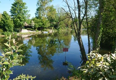 Randonnée Marche Incheville - incheville 20190513 les étangs  - Photo