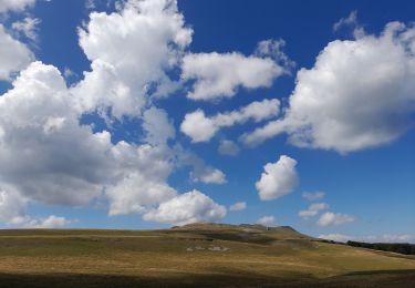 Tour Wandern Omblèze - Plateau d Ambel - Photo