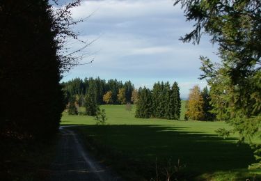 Trail On foot Durach - Durach: Findlingsweg - Photo