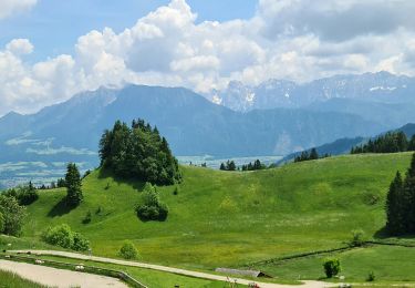 Percorso A piedi Oberaudorf - Wanderweg 5b - Oberaudorf - Photo