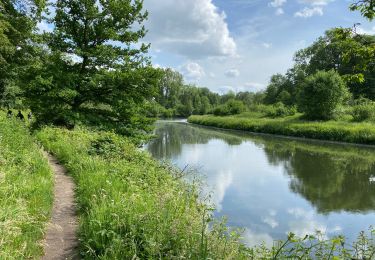 Trail Walking Seneffe - Feluy 22 km - Photo