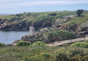 Tour Wandern L'Île-d'Yeu - Île d'Yeu est - Photo