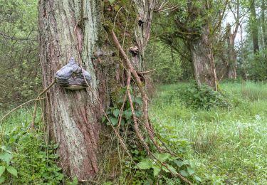 Tocht Te voet Harmstorf - Jesteburg Wanderweg 20 - Photo