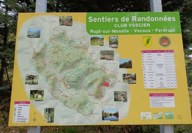 Tour Wandern Ferdrupt - circuit col de la sûre chalet Châtelet  - Photo