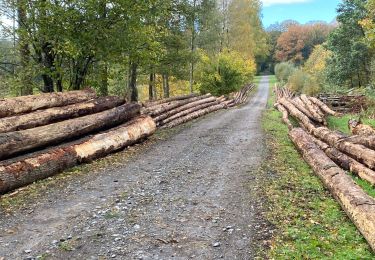 Trail Walking Gerpinnes - Gerpinnes par monts et par vaux - Photo