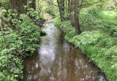 Randonnée A pied  - Käseschenkenweg - Photo