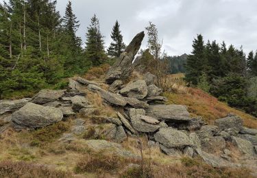 Trail On foot  - Lo 1 Osserpfad (Lohberg) - Photo