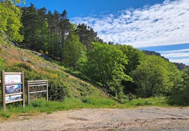 Tour Wandern Rosis - Circuit du Vialais - Photo