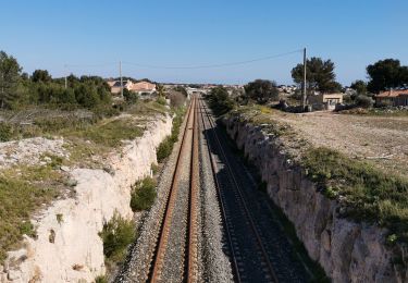 Randonnée Marche Martigues - entre Courone et Carro - Photo