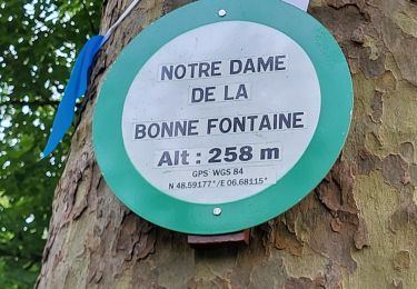 Randonnée Vélo électrique Saint-Clément - sortie vtt 26052024 forêt de Parroy - Photo