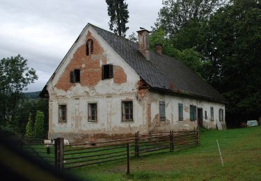 Tour Zu Fuß Sankt Stefan ob Stainz - Wanderweg S3 - Photo