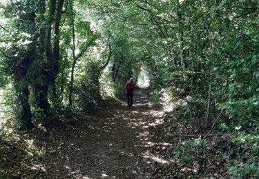 Trail Walking Ferrières-Saint-Hilaire - ferrière st hilaire - Photo