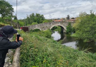 Percorso Marcia Monterroso - Arrêté Melide - Photo