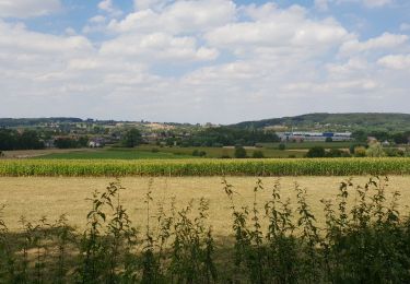 Tour Elektrofahrrad Ronse - Renaix - Ellezelles - Croisette - Saint-sauveur - Photo