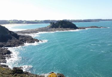 Tocht Stappen Cancale - Cancale - Pointe du Grouin  - Photo