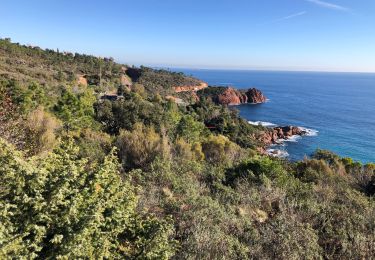 Tour Wandern Saint-Raphaël - ND d'Afrique et le palais bulle depuis la gare du Trayas - Photo