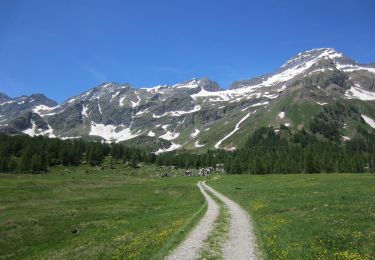 Percorso A piedi Varzo - (SI E60) Alpe Veglia (Cornu) - Alpe Devero - Photo