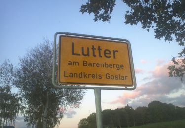 Trail On foot Lutter am Barenberge - Rundweg 4 - Photo
