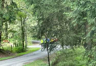 Percorso Mountainbike Sankt Vith - 20211009 Yeyette tour de forêt  - Photo