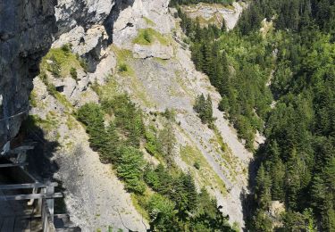 Percorso Camminata nordica Arbaz - bisse d'Ayen  - Photo