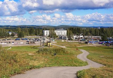 Tocht Te voet Jyväskylä - Luontopolku - Photo