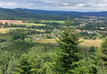 Tour Wandern La Bourgonce - la bourgonce  - Photo