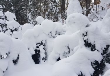 Randonnée Raquettes à neige Châtelblanc - raquette jura j2 - Photo
