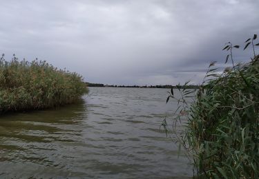 Tocht Te voet Tata - Tatai IVV körtúra (Zöld IVV - Tatai (Öreg)-tó) - Photo