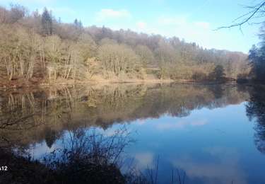 Percorso Marcia Léglise - Marche ADEPS 12km00 à Méllier. - Photo