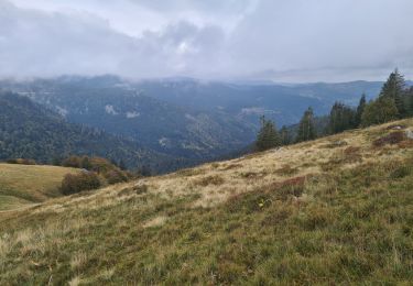 Tocht Stappen Metzeral - Tour du Petit Hohneck - Photo