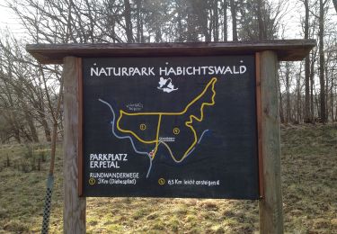 Randonnée A pied Volkmarsen - Rundwanderweg 4 ab Wanderparkplatz Erpetal des Naturparks Habichtswald - Photo