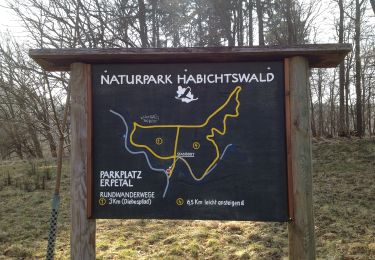 Tocht Te voet Volkmarsen - Rundwanderweg 4 ab Wanderparkplatz Erpetal des Naturparks Habichtswald - Photo