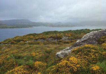 Randonnée Marche West Cork - Bere Island - Photo