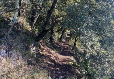 Trail Walking Navacelles - Les Aiguiéres au départ de Call - Photo