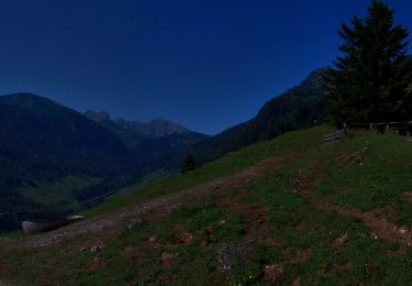 Tocht Te voet Gemeinde Walchsee - Durchholzen/Walchsee - Heuberg über Hageralm - Photo