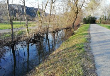 Trail Walking Meysse - Meysse 6km - Photo