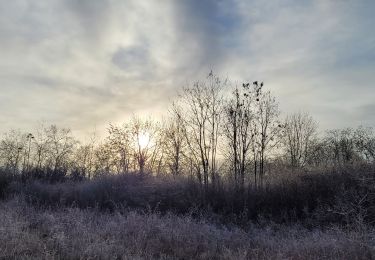 Tour Wandern Yerres - De Yerres à Varennes Jarcy par les sentes 30 km - Photo